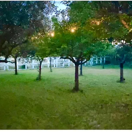 Lüks kamp alanı O.k. Corral